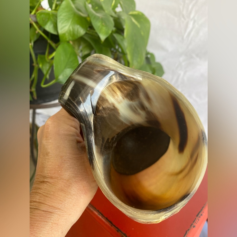 Cattle Horn Vase with Handle π - Picture 2 of 6